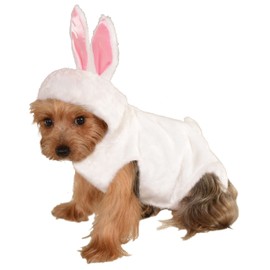 Big Dog Boutique Bunny Hoodie