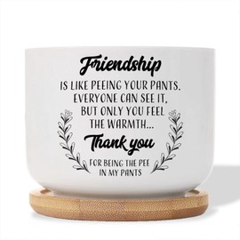 DecStic Friendship is Like Peeing Your Pants.Everyone Can See It Planter Ceramic Motivational Quote Round Flower Pot with Drainage Holes and Bamboo Tray Pot for Outdoor Garden Home Plant