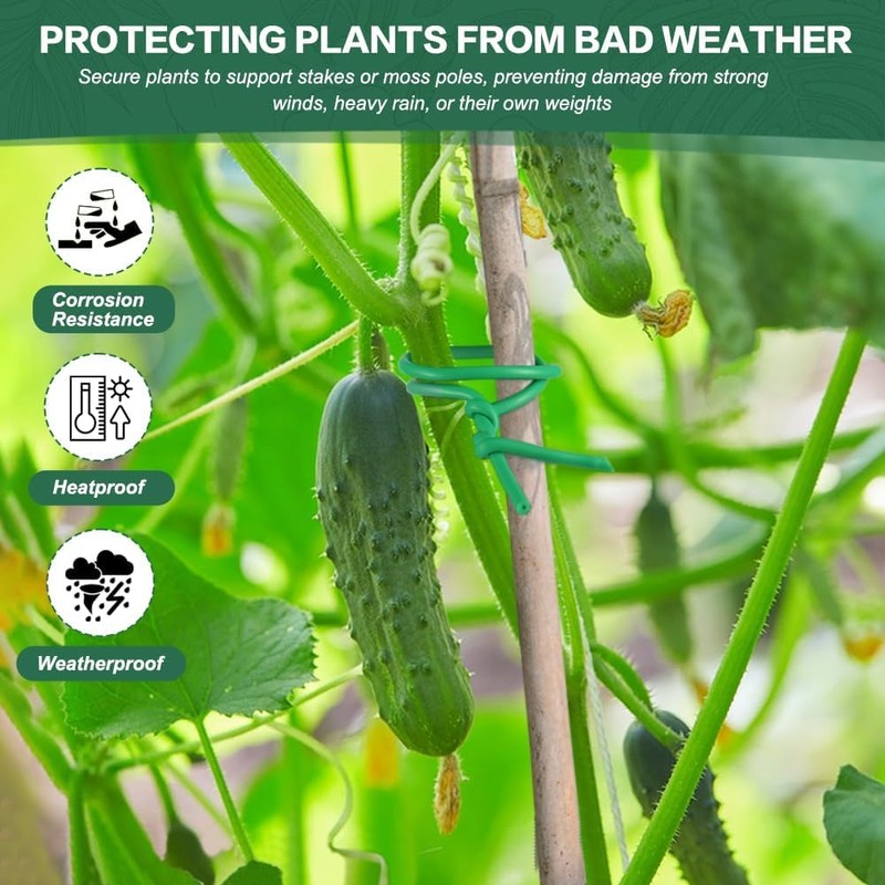 3.5 mm x 20 m Plant Ties