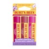 Burt's Bees Lip Balm Pomegranate + Watermelon + Strawberry Lemonade