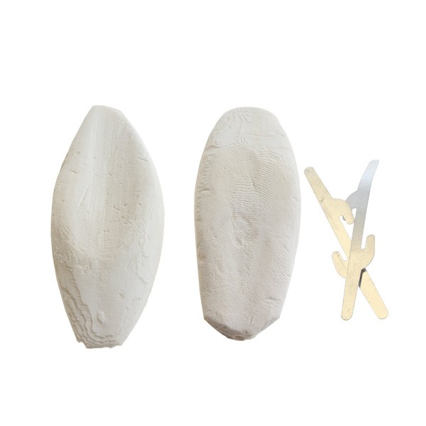 emours emours Natural Cuttlefish Bone for Reptiles, Tortoises, Tortoise, Snails,