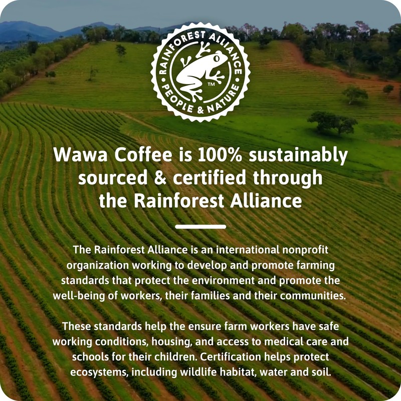 Wawa Mild Roast Single Cup Regular Coffee Pods, 72 Pods,