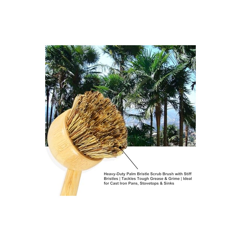 2 Pack Natural Kitchen Dish Brushes with Sisal & Palm