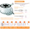 SURNIE LED Rope Lights Outdoor Waterproof: 150FT LED Rope Lighting