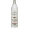 Alfaparf Milano Lounge's Magnificent Shampoo 500 ml