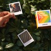 Instant Camera Bundle with Polaroid Go Color Polaroid Film x