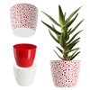 KADAX Plastic Flower Pot, Diameter 11 - 21 cm, 5