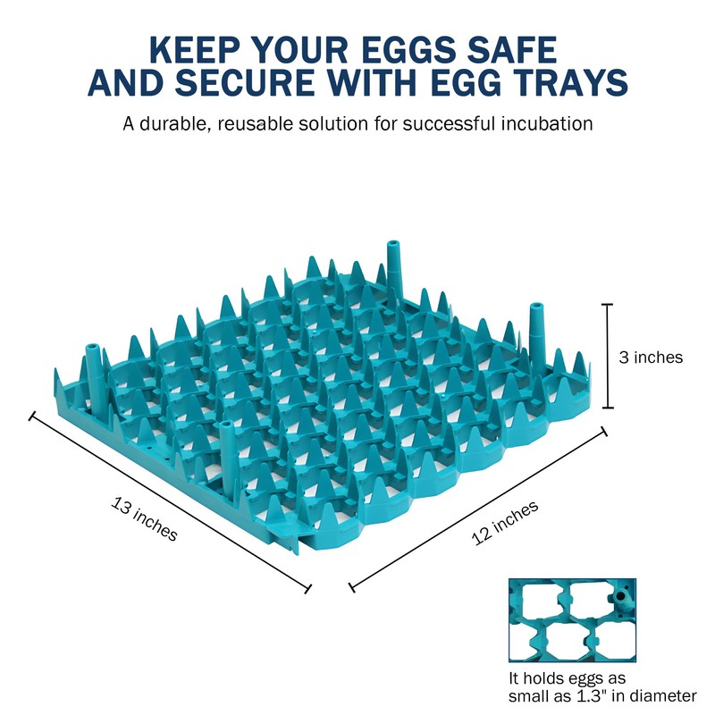 Universal Chicken Egg Trays (6 pack)
