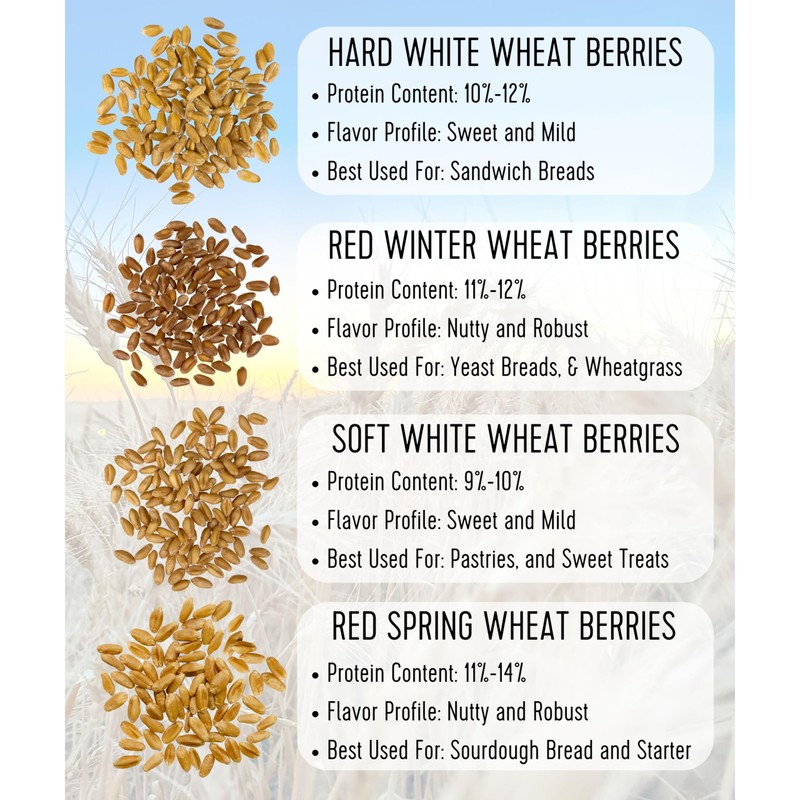 Palouse Brand Certified Glyphosate Residue Free Hard Red Spring Wheat