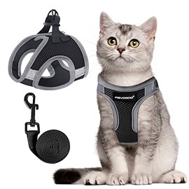 Cat Harness and Leash Set for Walking Escape Proof, Kitten Harness and Leash Adjustable, Small Large Cat Walking Harness and Leash, Lightweight Soft Vest Harness and Leash (Medium, Black)