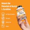 Acetyl L-carnitina 1.500 mg 100 cápsulas vegetales