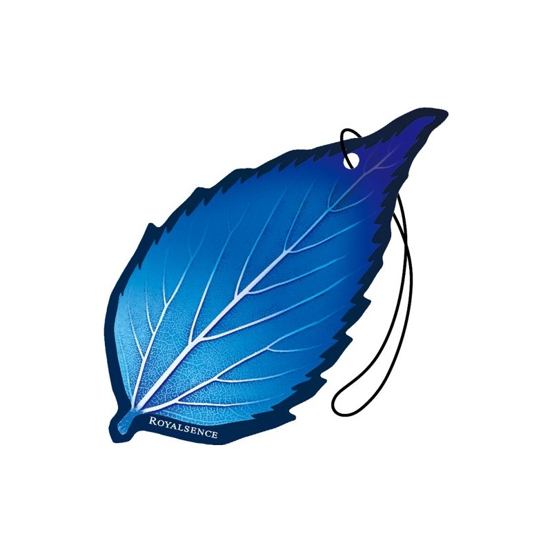 オカモト産業(CARALL) ロイヤルセンスリーフ3個パック スカッシュ 車用芳香剤(吊り下げ式) 11g×3個 1262