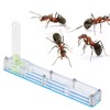 Acrylic Ant Breeding House Nest Formicarium Display Box with Water