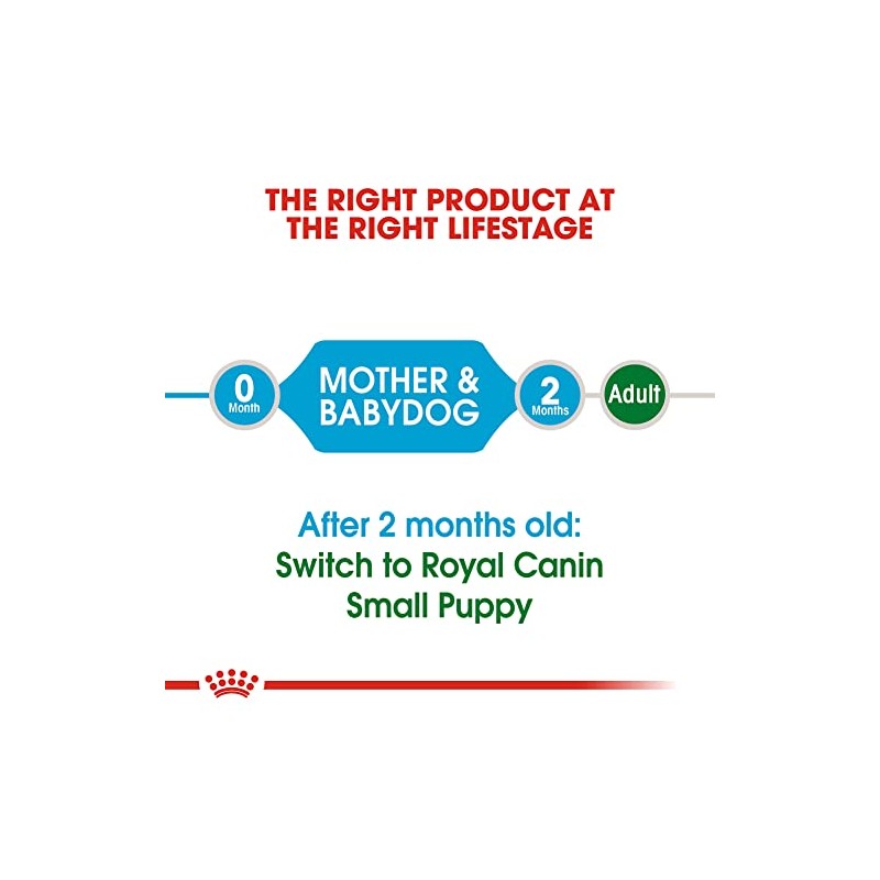 ROYAL CANIN Croquetas para Hembras, Mini Starter Mother & Baby