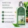 ANNAS Nettle Shampoo - Organic Formula,Helps Regulate Sebum Production, Reduce