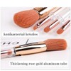 Liasun 4 In 1 Exquisite Multi-function Makeup Brushes Funny Combination