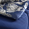 Raytrue-X King Comforter Set Silk Blanket All Season Bed Comforter