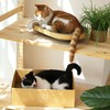 FUKUMARU 3PCS Cardboard Cat Scratcher Bed, Durable Oval Cat Scratch