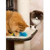 Turkey Cat Watamote Whitening Toy 01 Minnow