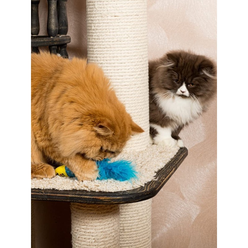 Turkey Cat Watamote Whitening Toy 01 Minnow