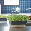 Richell Sprout Farm 24 Type N Dark Gray