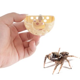 DQITJ Jumping Spider Hidden House Tarantula Enclosure Accessories with Magnet and Water Bowl for Tarantula Insect Praying Mantis Jumping Spider Stick Insect