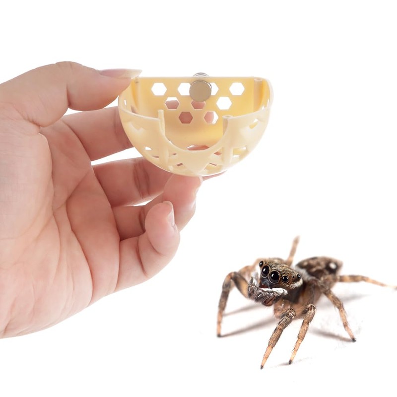 DQITJ Jumping Spider Hidden House Tarantula Enclosure Accessories with Magnet