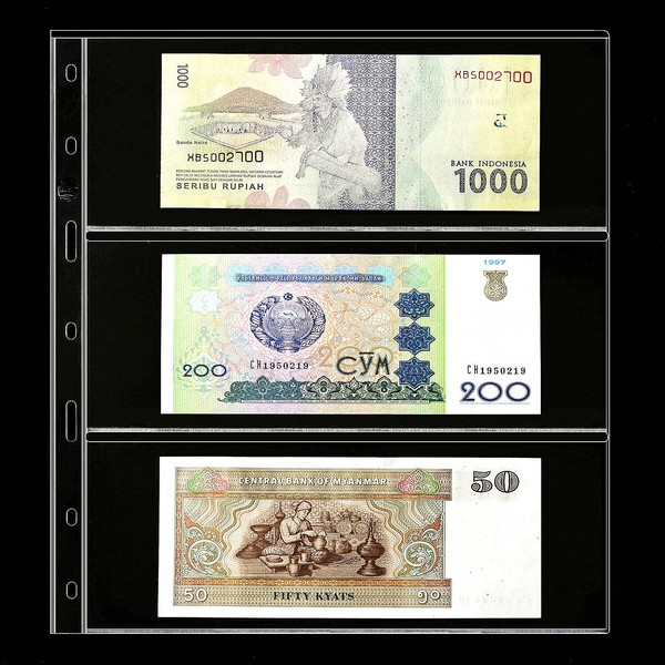 Ettonsun 10 Sheets Paper Money Collection Pages,Dollar Bill Holder,Currency Sleeves,Money