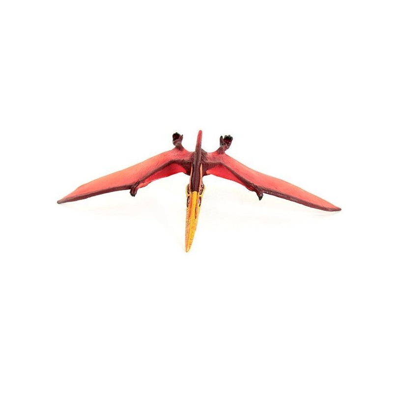 Pteranodon / 프테라노돈