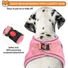 PWOD Dog Harness with Leash Set, No-Pull Step-in Reflective Pet