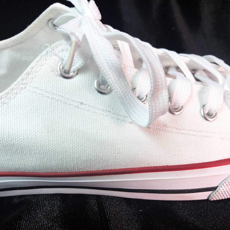 LION Office Products, Inc. RUB-N-CLEAN Canvas Sneaker Cleaning Eraser, 1