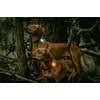 Orbiloc Men Orbiloc Dog Dual Flashing Solid Safety LED Light