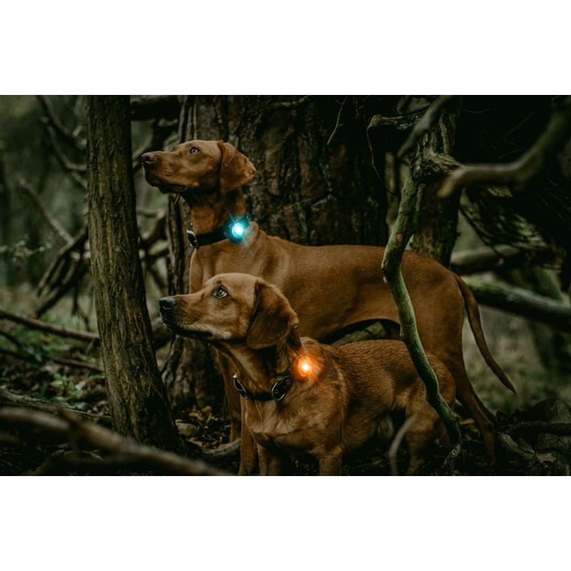 Orbiloc Men Orbiloc Dog Dual Flashing Solid Safety LED Light