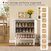 Shoe Storage Cabinet with Visible Mesh Doors for Entryway, Small