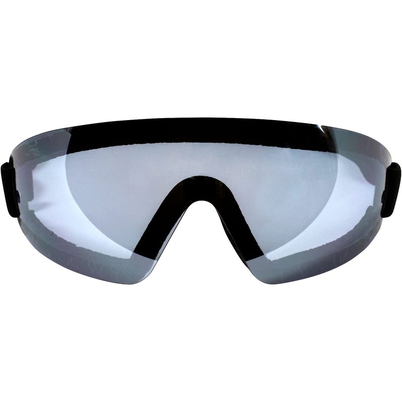 Birdz Eyewear Wing Sports Goggles w/Padded Frame Blue Lenses Great