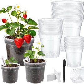 YZNlife 5/6/7/ Gallon Clear Nursery Pots,3 Size Set 60 Pcs, Round Plastic Plant Pots with Drainage Holes 100pcs Plant Labels for Seedlings Herbs Flowers Vegetable