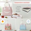 Bolsa de Almuerzo Isotérmica Lonchera Térmica Nylon Bolsa Hielera Reutilizables