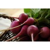 Ohio Heirloom Seeds Radish Seed Assortment- 6 Heirloom Varieties