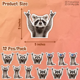 (12 Pcs) Raccoon Stickers, Funny Rocking Raccoon Cute Car Decal, Possum Racoon Gifts Waterproof Sticker Decal Car Laptop Wall Window Truck Bumper Stickers