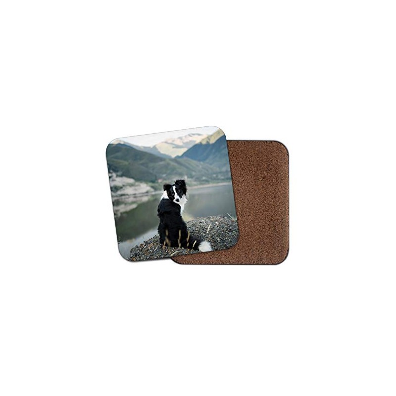 1 x Border Collie Dog Coaster - Sheep Dogs Puppy