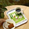 Eocto ecomfortHouse Sponge Wipe, Moomin Forest, 1 Piece