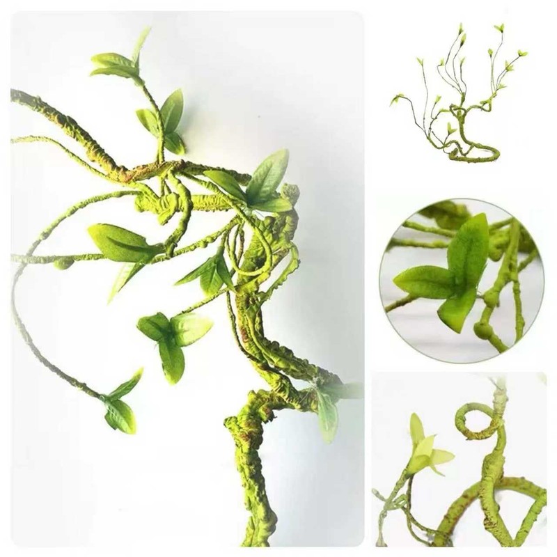 Reptile Plants for Terrarium Tank – Bearded Dragon Tank Accessories,