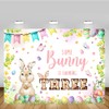 MEHOFOND 7x5ft Spring Bunny Theme Backdrop for Gril Third Birthday
