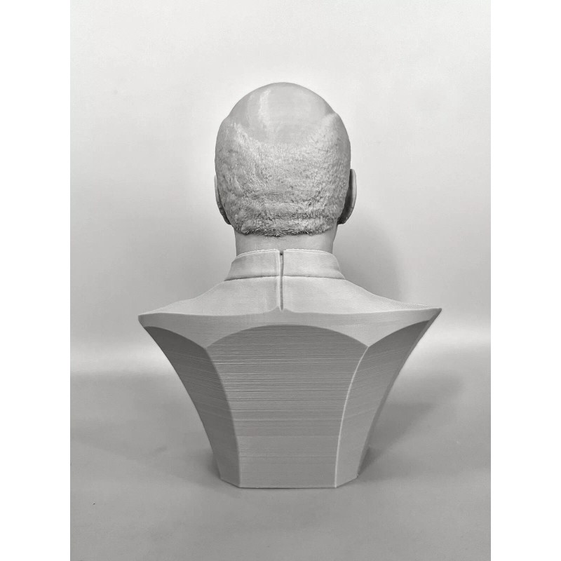 Star Trek The Next Generation Jean Luc Picard 3D Printed