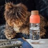 Quokka Ice Birds Bottle Made from Ecozen 720 ml