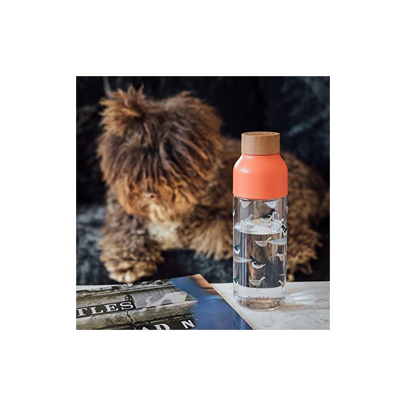 Quokka Ice Birds Bottle Made from Ecozen 720 ml