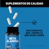 Beyond Vitamins Beta Alanina 1400mg Pre Entreno Workout Aminoácidos Máxima