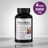 Earthville Black Ginger Krachay Dam Fabiflora Black Ginger 500mg Effectiveness