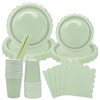 AKONE 125 Piece Sage Green Party Tableware Set for 25