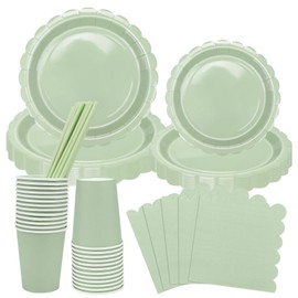 AKONE 125 Piece Sage Green Party Tableware Set for 25 Guests